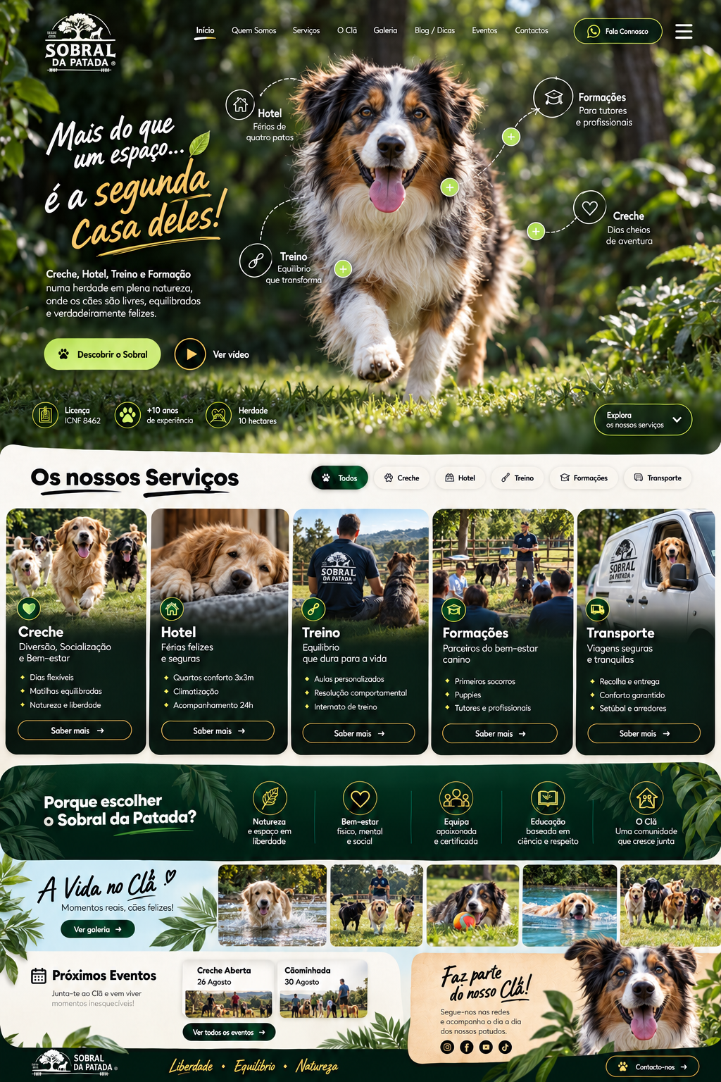 Sobral da Patada: um cão num jardim verde; serviços de creche, hotel, treino, formações e transporte; liberdade, equilíbrio e natureza.